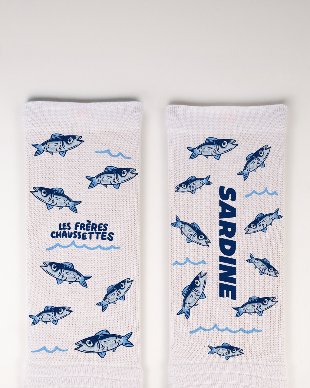 SARDINE