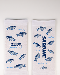 SARDINE