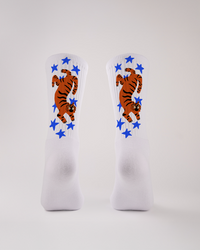 TIÉ UN TIGRE