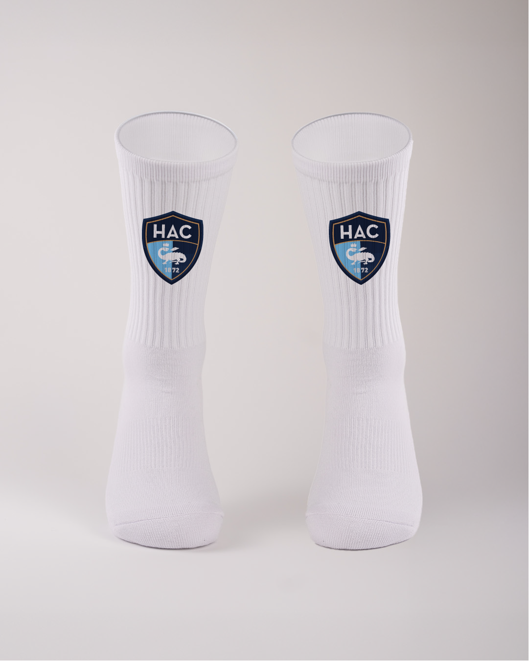 HAC Ensemble